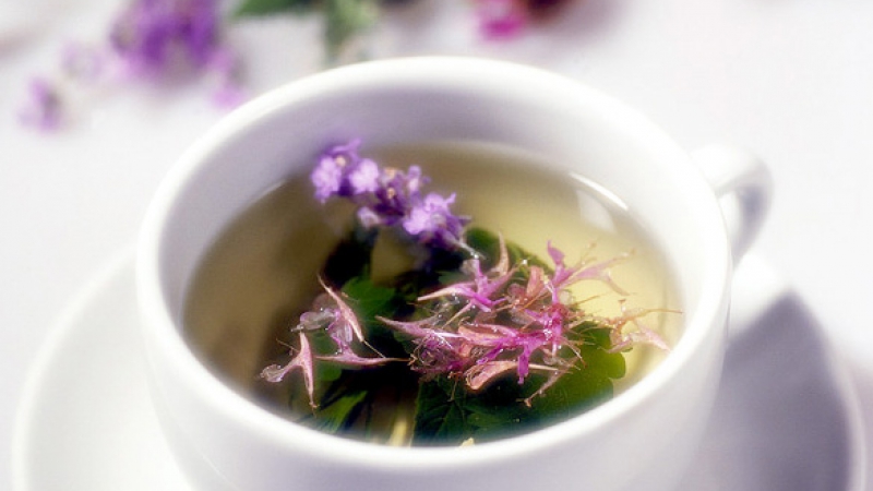 Flowers Floating in Herbal Tea