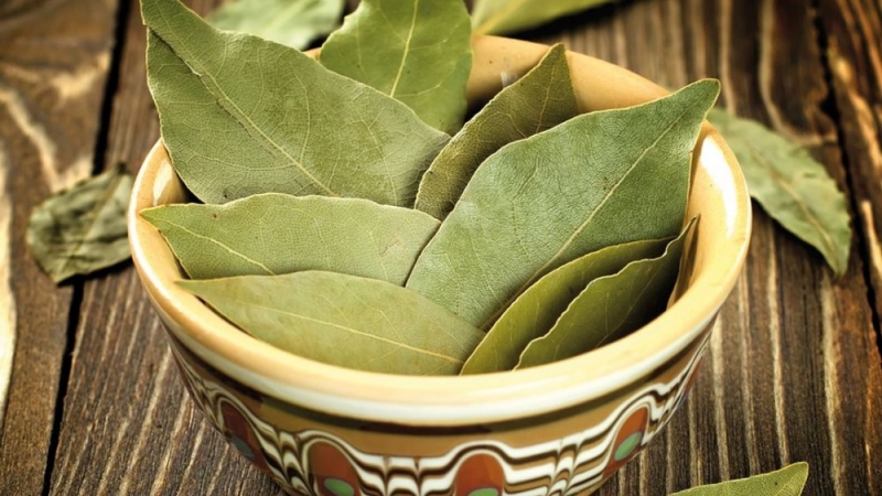 Sursa foto Aquihora.ro