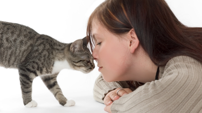 femeile-insarcinate-si-contactul-cu-pisicile-pericol-de-toxoplasmoza-1