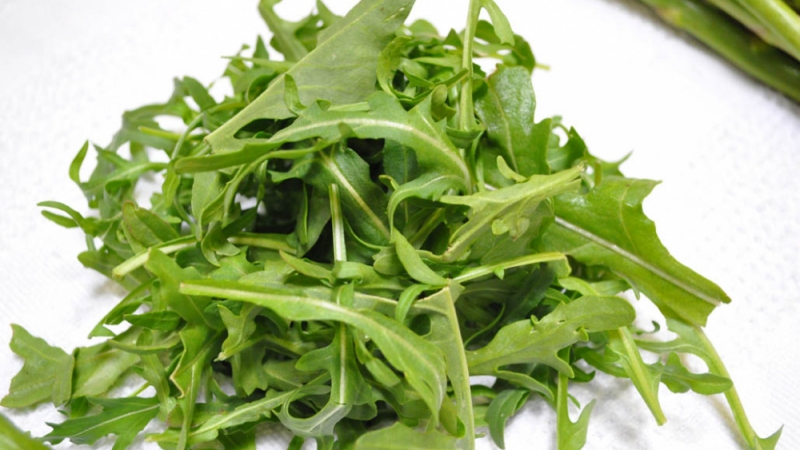 rucola-1335105399