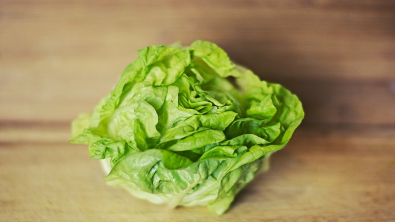 Sursa foto Doxologia