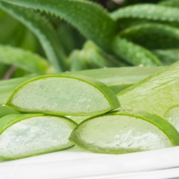 Aloe vera tratează constipaţia şi întăreşte sistemul imunitar