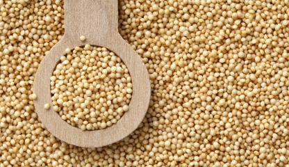 Amarantul, alimentul fără gluten care vă protejează sănătatea și silueta