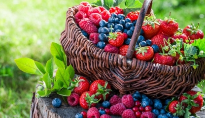 Fructele de pădure sunt cele mai bune alimente bogate în antioxidanți