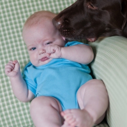 Cum îi feresc câinii pe bebeluşi de infecţii