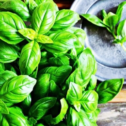 Busuiocul previne oxidarea colesterolului pe vasele de sânge