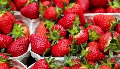 Alergia la căpșuni vă poate pune viața în pericol