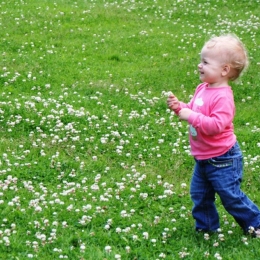 Atenţie la căpuşe!  Nu le scoateţi cu vaselină, ojă de unghii sau chibrite
