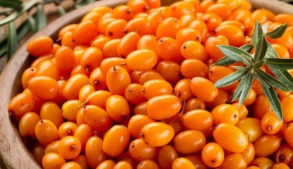 Cătina este printre cele mai bune alimente pentru hipertensiune