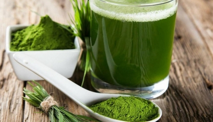 Ceaiul verde matcha scade riscul dezvoltării tulburărilor cognitive