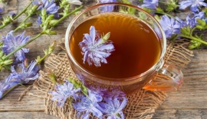 Ceaiul de cicoare, băutura naturală cu multiple beneficii