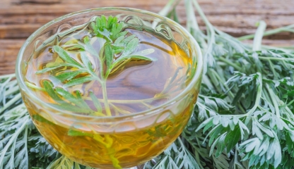 Beneficiile ceaiului de pelin. Ce afecțiuni tratează