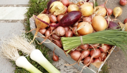 Consumul de ceapă crudă poate sprijini circulația sângelui