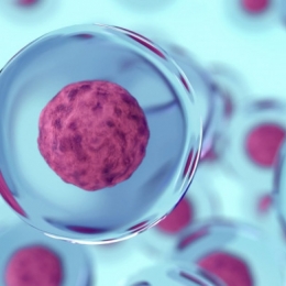 La un moment dat celulele stem ne pot salva viaţa