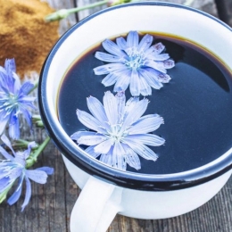 Efectele benefice ale cicorii. În ce afecțiuni este recomandată