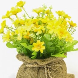 Ciuboţica cucului, planta minune care vindecă cicatricile