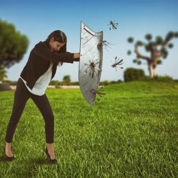 Țânțarii sunt purtători de boală. Ce afecțiuni riscați, dacă sunteți ciupiți