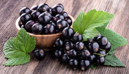 Coacăzele, secretul natural pentru un ten luminos