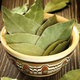 Dafinul, utilizat în aromoterapie pentru combaterea anxietății