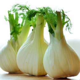 Feniculul vă asigură necesarul zilnic de vitamine şi magneziu