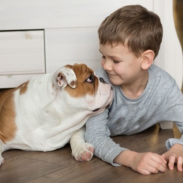 Pierderea unui animal este o durere imensă pentru copii. Fiţi alături de ei!