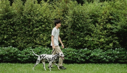 Mare atenţie la iarbă și căpuşe! Boala Lyme vă paște la orice pas