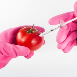 E dovedit: aditivii din alimentaţie sunt nimicitori! „O explozie a cazurilor de cancer urologic”