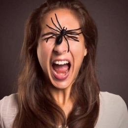 De ce se tem unii oameni de păianjeni