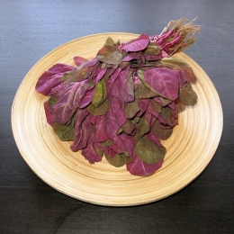 Frunzele de lobodă întăresc sistemul imunitar