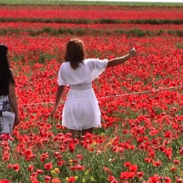 Infuzia din petale de mac este recomandată în bolile respiratorii