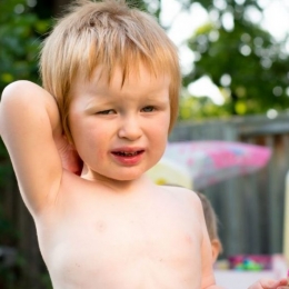 Mare atenţie la insecte! Ciupiturile pot determina infecţii grave