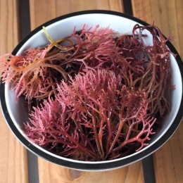 Mușchiul marin este asociat cu pierderea în greutate