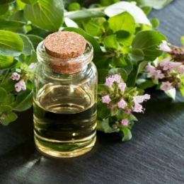 Uleiul de oregano, de folos în tratarea răcelilor și a gripei