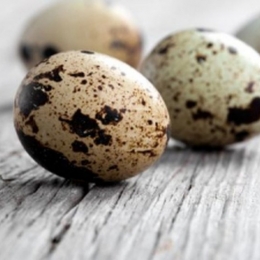 Ouăle de prepeliță conțin multe vitamine și minerale