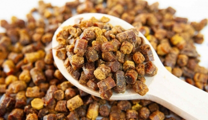 Terapia cu păstură contribuie la ameliorarea unui număr mare de afecțiuni