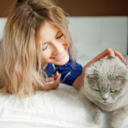 Pisicile contribuie la reducerea stresului din jurul nostru