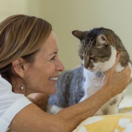 Pisicile au un impact terapeutic asupra oamenilor