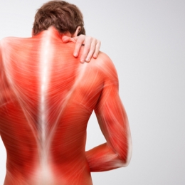 Polimialgia reumatică vă afectează puternic musculatura