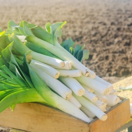 Prazul are proprietăți diuretice și contribuie la eliminarea toxinelor