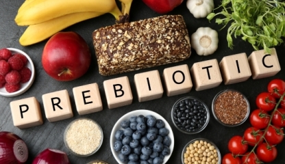 Prebioticele și rolul lor în menținerea sănătății digestive