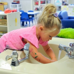 Războiul cu murdăria dă naștere bolilor cronice