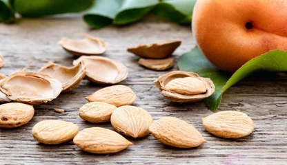 Cât de periculos este să consumi sâmburi de caise