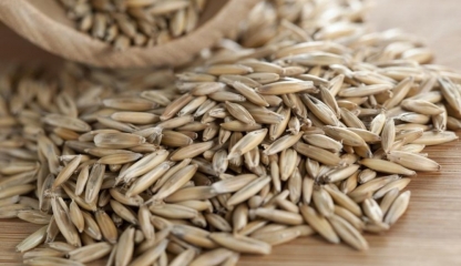 Secara ajută la menținerea unei greutăți corporale optime