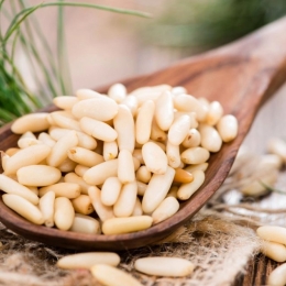 Mugurii și semințele de pin conțin o mulțime de substanţe nutritive