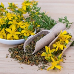 Sunătoarea este recomandată și pentru reducerea bufeurilor de la menopauză
