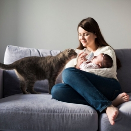 Toxoplasmoza poate provoca complicaţii grave în perioada sarcinii