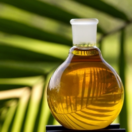 Uleiul de palmier previne bolile de inimă şi cancerul