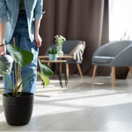 Tu ți-ai creat aceste 10 obiceiuri zilnice pentru o locuință mereu curată?