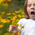 Prevenirea alergiilor de primăvară la copii