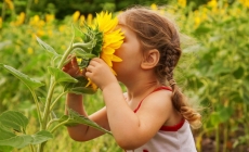 Ce efecte au ieșirile în aer liber asupra copiilor?